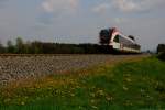 Strahlt die Sonne dann strahlt auch der Löwenzahn , Strahlt der Löwenzahn und die Sonne dann strahlt auch der Karl Heinz hinter dem Objektiv:-) 6.04.2014 