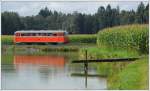 VT 10.02 bei einer von vielen Pendelfahrten anlässlich des Zeggern Festes am 31.8.2014 in Prarath aufgenommen.