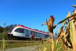 Da Woazbort is do ! Erntezeit in der Weststeiermark. 5063.13 bei Gussendorf an einem wegen Sichtraumbehinderung über den Striezeln gekappten Sterzbaumfeld.
25.09.2014 