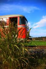 Der  Dschungelexpress  ,.... VT10.02 in der nähe von Graschach am 18.Oktober 2015