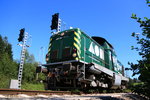 Im Graben zwischen Mücken , Spinnen und wahrscheinlich ein par Schlangen wartete ich heute auf DH 1100.1 in der Anschlussbahn Leibenfeld. 26.08.2016