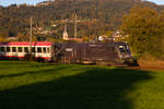 Die Cobara Lok (1116 182-7) am IC 119 bei Schwarzach nach Dornbirn.