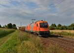 1216 902 + 2016 906 mit einem Bauzug am 10.08.2014 bei Plattling.