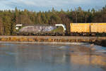 Oft werden E-Loks von Hof nach Regensburg über Wiesau über den nicht-elektrifizierten Teil mitgenommen. So auch am 10.12.2016 als 193 218-5  Beethoven  zuerst mit dem Containerzug bis Wiesau geschleppt wurde und anschließend mit dem Hackschnitzelzug aus Wiesau von 277 005-5 Richtung Regensburg gezogen wurde.