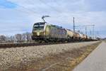 SETG 193 218  Beethoven  mit einem Kesselwaggon-Ganzzug am 24.02.19 bei Übersee am Chiemsee.