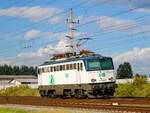 Werndorf. Die StB 1142 613 rast hier durch Werndorf in Richtung Graz.