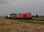 Die 2016 913 mit einem Güterzug am 03.10.2014 unterwegs bei Eferding.