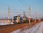 183 704 in Diensten der WLB ist am 18.12.2010 mit
einem mittellangen Kesselwagenzug kurz vor
Marchtrenk zu sehen gewesen.