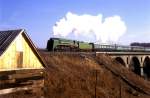 P36 0050 Novograd Volynski 13.02.95  ...