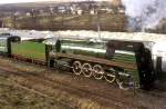 P36-0050 Podwysoke 21.02.95   ...