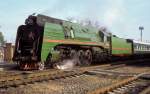 P36-0050 Jablonez 13.02.95   ...