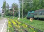 30.04.04, Kostrzyn ; ein Bahnsteiggleis voller Blumen, aber mit blanken Schienen