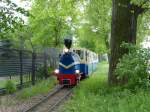 Parkeisenbahn Maltanka auf einem waldigen Abschnitt. Der Park ist sehr sportlich ausgerichtet, der nahe See mit Wassersportanlagen versehen, viele Radfahrer sind unterwegs. 4.5.2014, Poznan