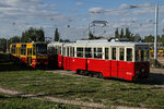 Über die Mauer des Depot von Lodz habe ich diese schöne Foto am 22.07.2016 gemacht.