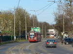 NDUEWAG N8C-NF (aufgearbeitete N8C aus Dortmund und Kassel) fahren auf der Strecke zwischen Jelitkowo und Stogi Plaża. Hier geht es gerade von Stogi Plaża zurück in die Stadt, kurz vor der Station Zimna. 9.4.2017, Gdansk