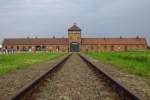 Zum Gedenken der Befreiung des KZ Birkenau, die Schienen welche ins Lager führten.
Foto vom 7.7.2013