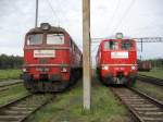 M62-295 und M62-1684 am 21.05.2009 in Świnoujście.