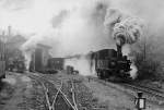 Presnitztalbahn Ausfahrt 99 1583 im Bahnhof Wolkenstein  1977
