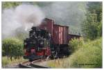 Presnitztalbahn 99 590 mit einem Rollwagenzug vor dem Haltepunkt Wildbach, aufgenommen am 25.06.2010.