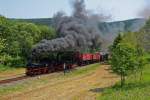 Presnitztalbahn IV K - Dampf vom feinsten. 99 590 und 99 542 in Doppelbespannung vor einem stilreinen Nahg�terzug zwischen Schmalzgrube und Loreleifelsen.