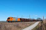 RTS 1216 901, am ...  Gerhard Zant 28.02.2010