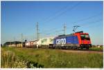 SBB 482.035 mit dem 42954; hier bei Oftering; 8.7.2010.  ...