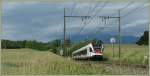 rabe-524-flirt Bei Kilometer 157 zwischen Russin und Satigny kam mir dieser Flirt entgegen. 
21. Juni 2010