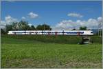 Ein Flirt in voller L�nge zwischen Satigny und Russin. 
31. ...