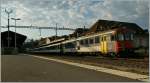 Die drei mal t�glich ...  Stefan Wohlfahrt 19.08.2011