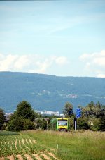 RBG Regental Bahnbetriebs-GmbH Waldbahn in Richtung Bayerisch Eisenstein, am 02.06.2010 kurz vor Pankofen.