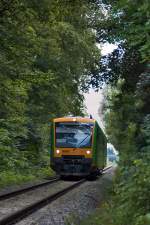 RBG Regental Bahnbetriebs-GmbH Da stimmt die Bezeichung 'Waldbahn' sogar :D VT 25 am 27.07.2010 kurz nach Pankofen.