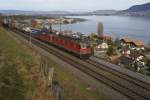 re-10-10-re-4-4-und-re-6-6 Re 6/6 11628 und Re 4/4 II 11274 fahren am 14.11.09 hoch �ber dem Thunersee Richtung Spiez.