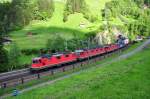Re 20/20 mit GZ bei Wassen am 30.05.2010  ...