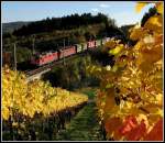 Re 10/10 mit G�ter ...  Erich Gillard 26.07.2010