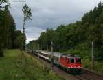 KBS 730 (Hochrheinbahn) (102 Fotos)
