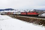 Re 4/4 II 11179 und Re 4/4 II 11232 bef�rdern ...