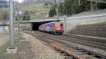 Der S�den liegt vor der Nase: Am 15.04.10 verlassen die ...