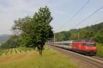 Die Re 460 117-5 ...  Florian H�bscher 29.12.2009