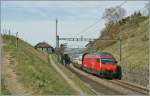 Re 460 022-7 mit ...  Stefan Wohlfahrt 10.04.2011