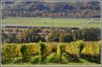 IC572 Chur - Basel ...  Herbert Graf 30.10.2011