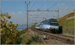 Die Re 460 002-9 ...  Stefan Wohlfahrt 02.11.2011