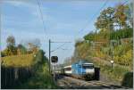Re460 020-1 ...  Stefan Wohlfahrt 02.12.2010