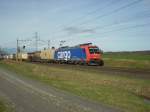 SBB Re 482 007-2 mit Containerzug am 28.11.09 in Waltenschwil. ...