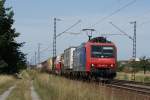 482 002-3 mit Containerzug ...  Gilbert Coletti 23.01.2010