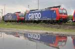 SBB Cargo 482 005 ...  Niklas Eimers 15.05.2010