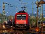 Bei sch�nstem Herbstwetter zieht ...  Mario Sch�rholz 18.10.2010
