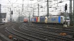 Der Thalys auf dem ...  Stefan Hochstetter 10.03.2012