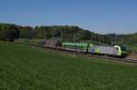Re 485 (BLS) (373 Photos)