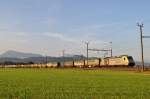 Ambrogio-Zug am Gotthard mit Re 486 503 am 07.07.2010 bei ...
