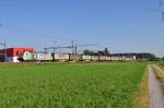 re-486-bls Re 486 504 mit Ambrogio bei Oberr�ti am 07.07.2010
